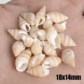 30pcs Sea Conch Shell Beads For Jewelry Making Cowrie Cowry Charm Beads DIY Necklace Bracelet Accessories Jewelry Findings preview-2