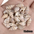 30pcs Sea Conch Shell Beads For Jewelry Making Cowrie Cowry Charm Beads DIY Necklace Bracelet Accessories Jewelry Findings preview-5