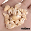 30pcs Sea Conch Shell Beads For Jewelry Making Cowrie Cowry Charm Beads DIY Necklace Bracelet Accessories Jewelry Findings preview-3