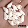 30pcs Sea Conch Shell Beads For Jewelry Making Cowrie Cowry Charm Beads DIY Necklace Bracelet Accessories Jewelry Findings preview-6