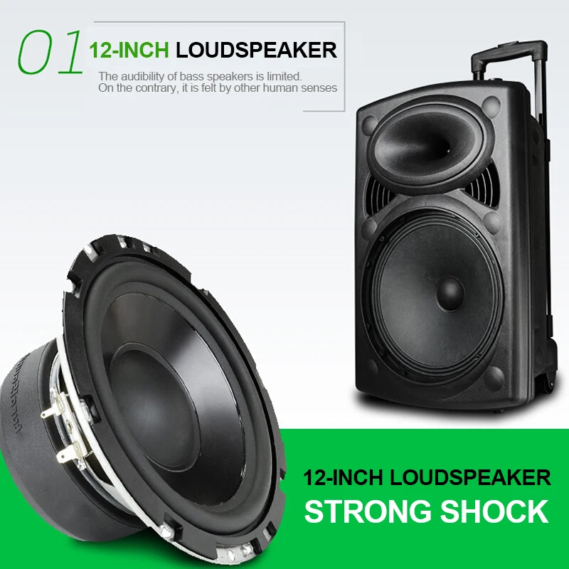 bluetooth 12 inch speaker