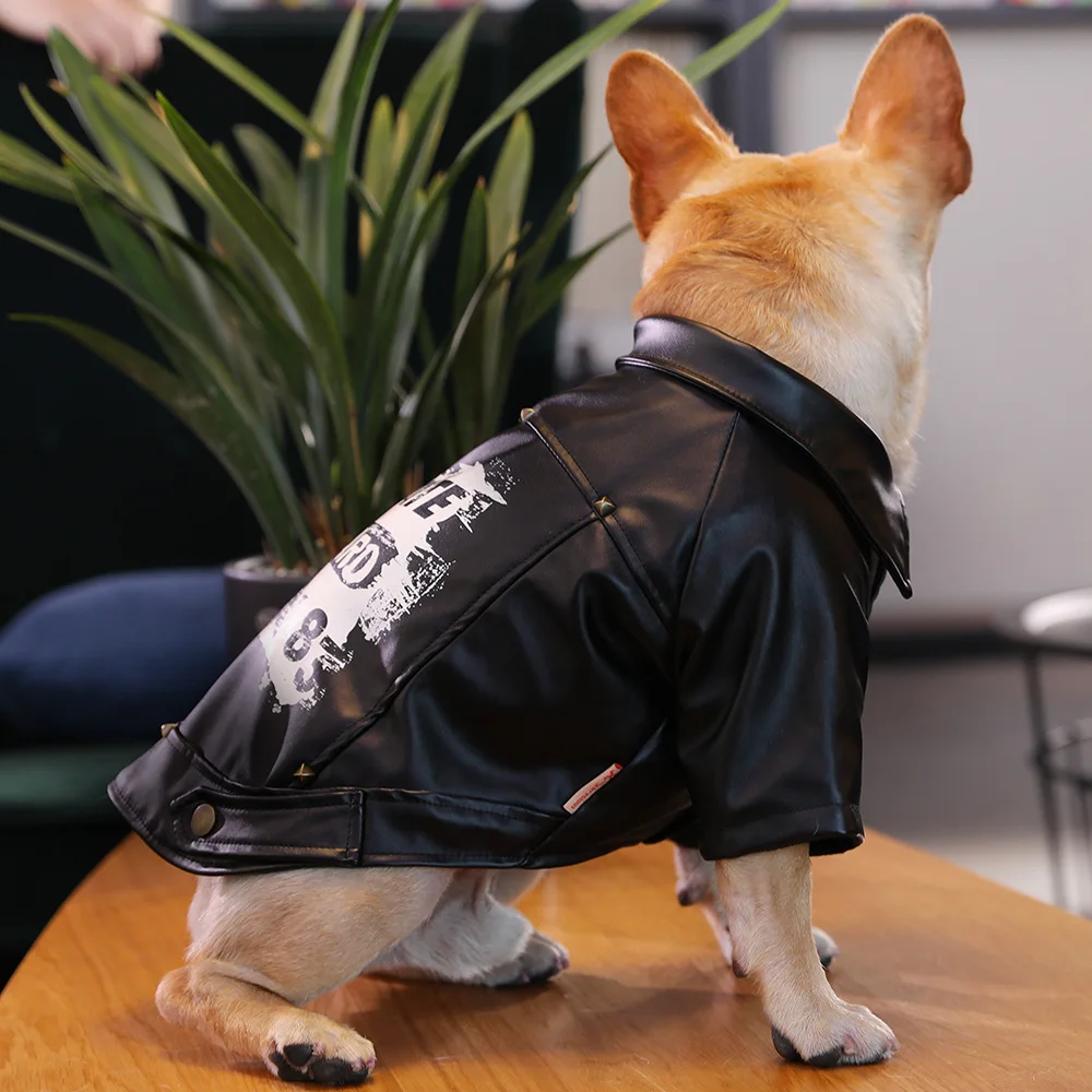 dog motorcycle jacket