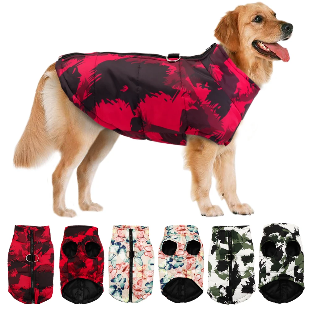 winter dog apparel