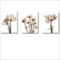 Plant Flower Tulip Canvas Painting with Frame Modern Simple Transparent Flower Poster Add Frame,, Printing, Home Living Room D preview-2