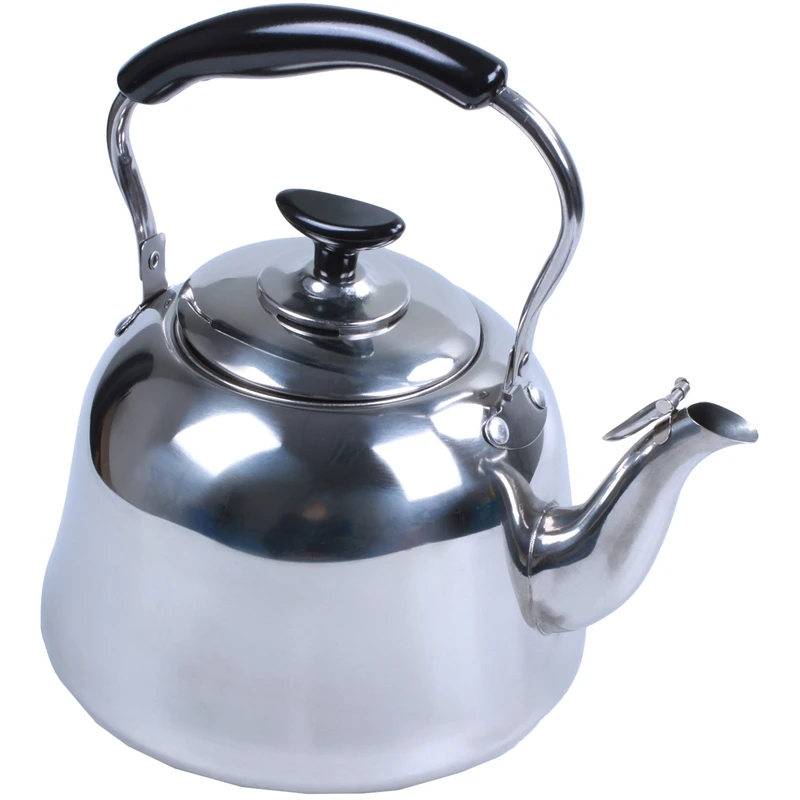 stainless steel kettle stove top