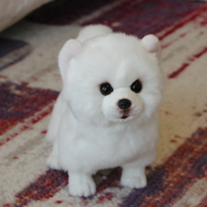 stuffed pomeranian animal