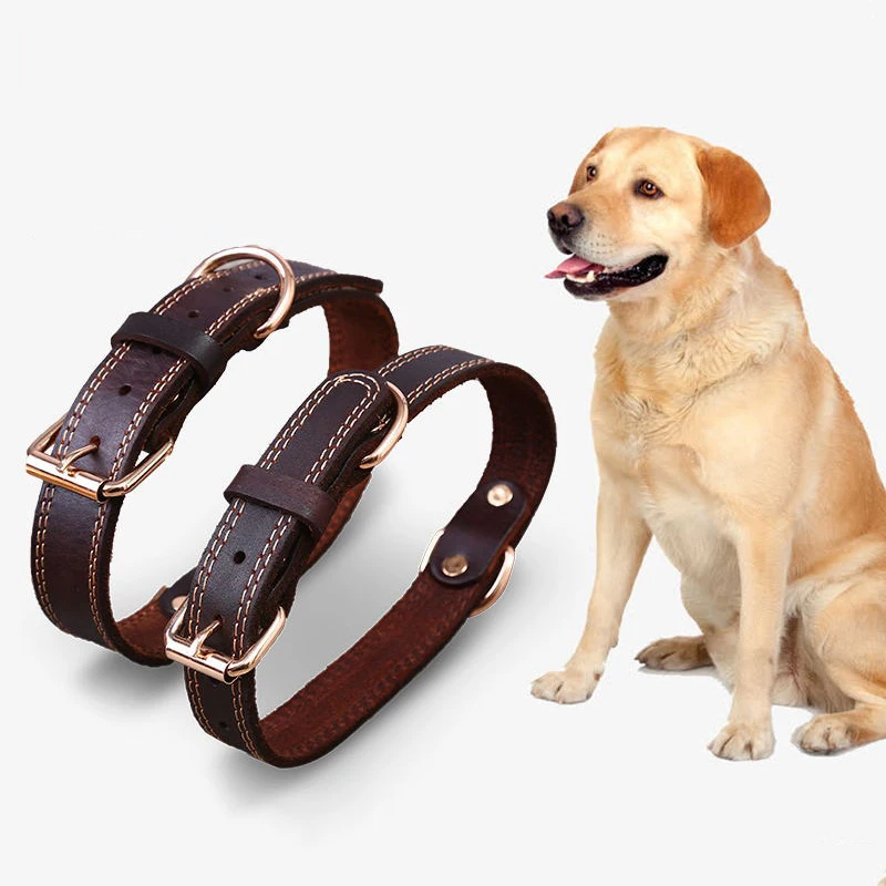 dog neck collar