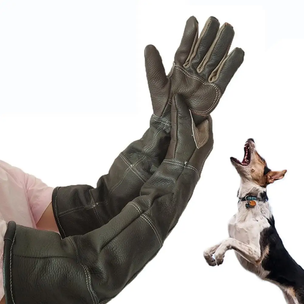 hands on gloves for pets