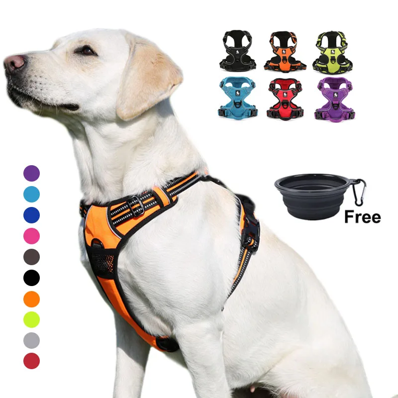 mokcci truelove dog harness