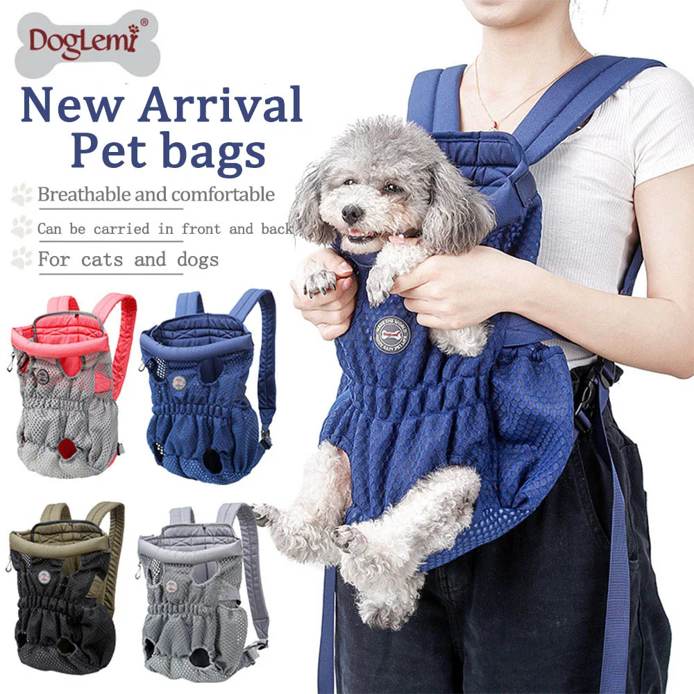 dog carrying backpack large