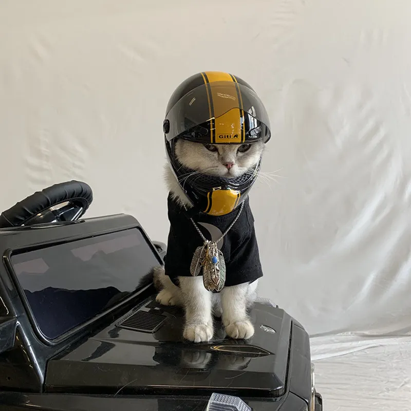 giti dog helmet