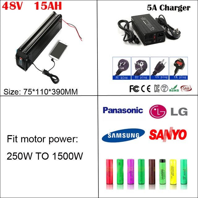 ebike charger 48v 20ah