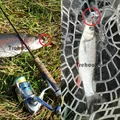 TREHOOK 5pcs 1.5g 3cm Mini Wobblers/Crankbait Fishing Lure Artificial Bait Hard Floating Wobbler for Fish Bass Fishing Tackle preview-3