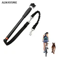 ALWAYSME Dog Bike Exerciser Leash Tow Carrier