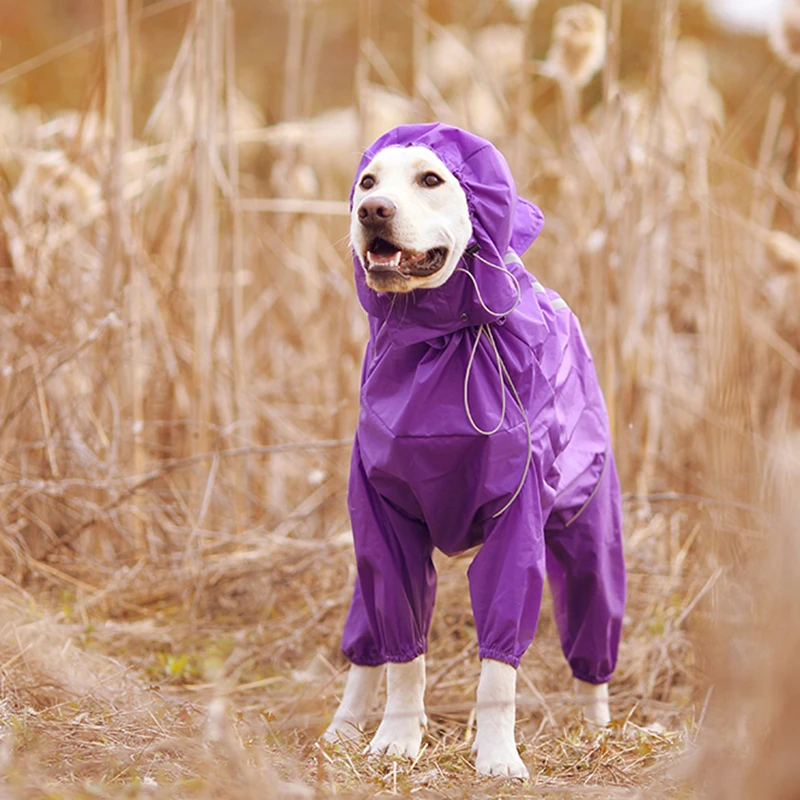 overalls for big dogs