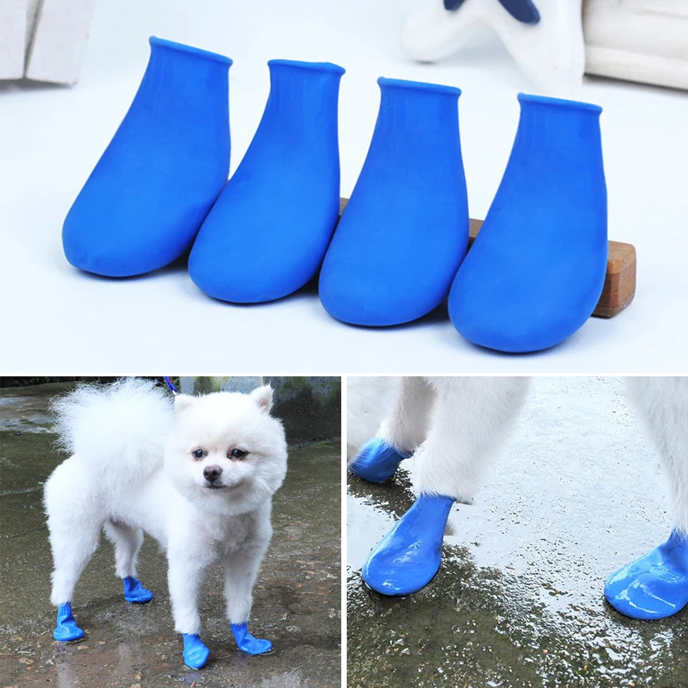 blue dog boots