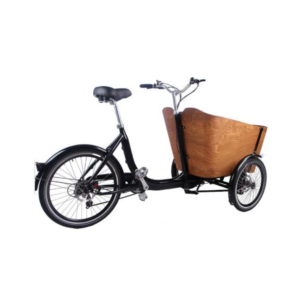 3 wheel electric bike