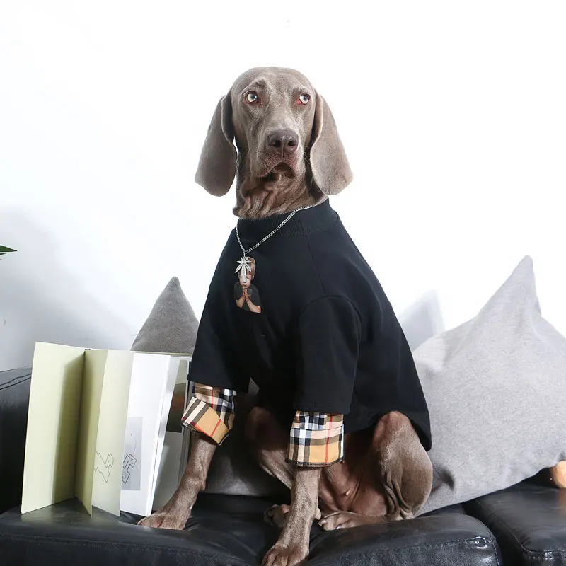 labrador clothes for winter