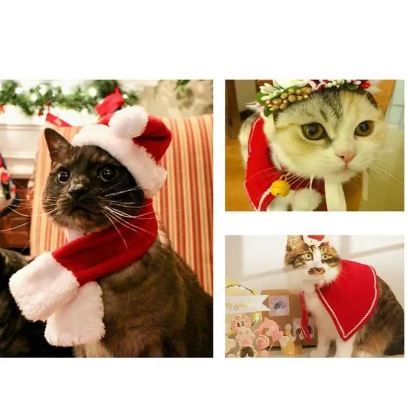 christmas kitten clothes