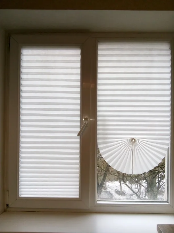 window blinds and shades