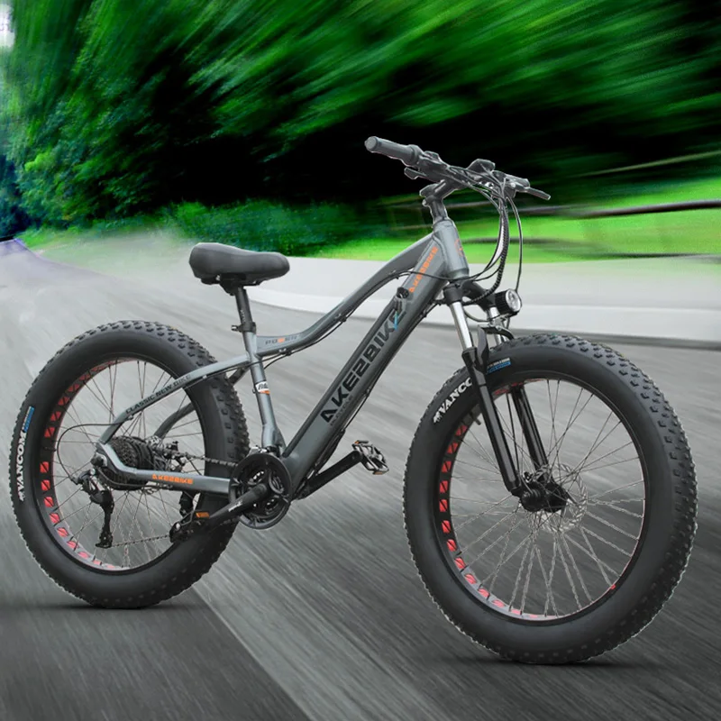 fat tire beach snow electric bike