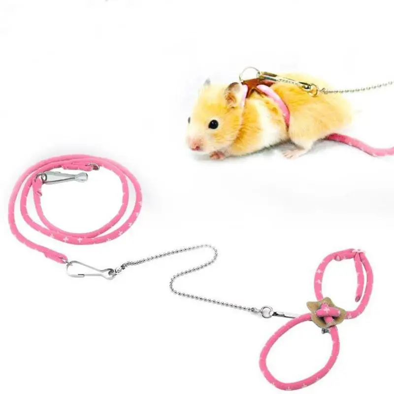 hamster collar and lead