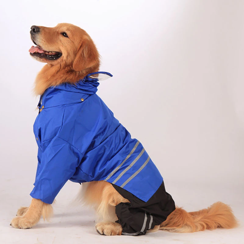 Summer Waterproof French Bulldog Rain 