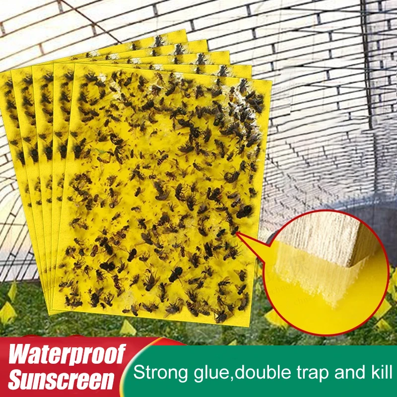 50/100 Pcs Strong Flies Traps Bugs Sticky Board Catching Aphid Insects Pest Killer White Fly Thrip Leafminer Adhesive Sticker