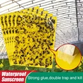 50/100 Pcs Strong Flies Traps Bugs Sticky Board Catching Aphid Insects Pest Killer White Fly Thrip Leafminer Adhesive Sticker