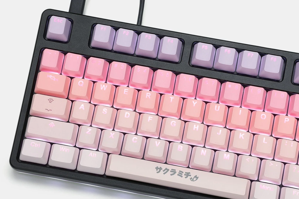 olx anne pro 2