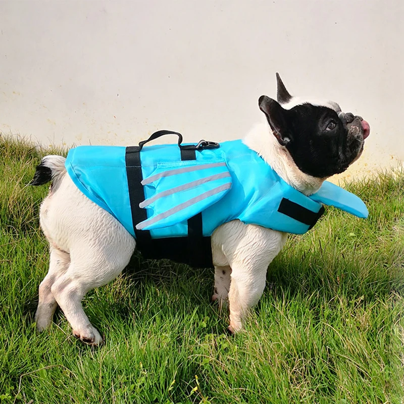dog life vests for swimming