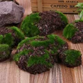 6pcs/pack טחב ירוק אבן דשא מלאכותי עץ סלע מזויף אבני סימולציה אבנים גן מיני נוף גן קישוט