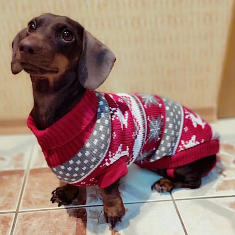 rhodesian ridgeback fleece coat