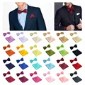 ADULT MENS Bowties Colorful Formal Handkerchief Hankies Chest Hanky Groom Party Bow Tie Bowties Chest FC140 preview-1