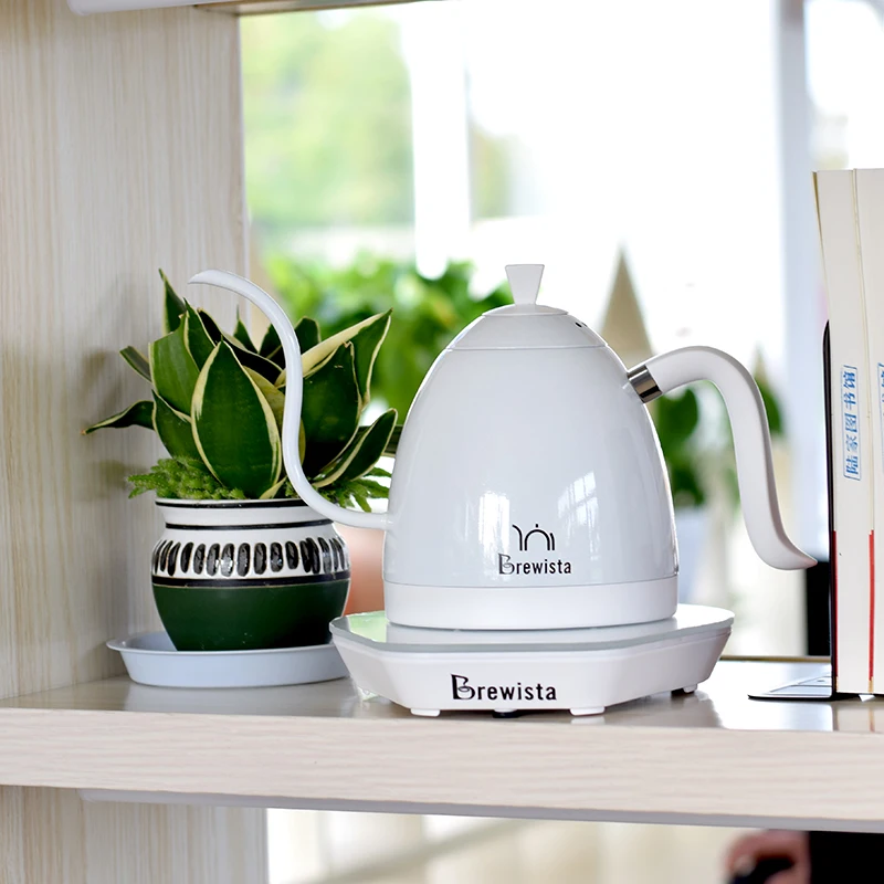 brewista tea kettle