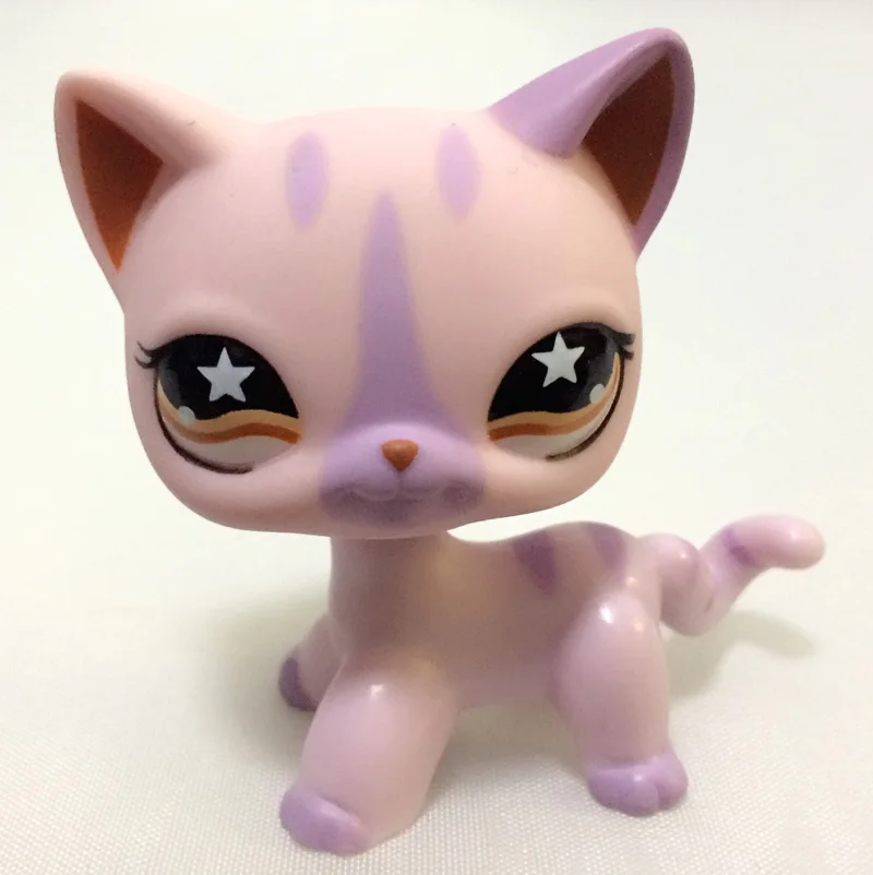 lps pink shorthair