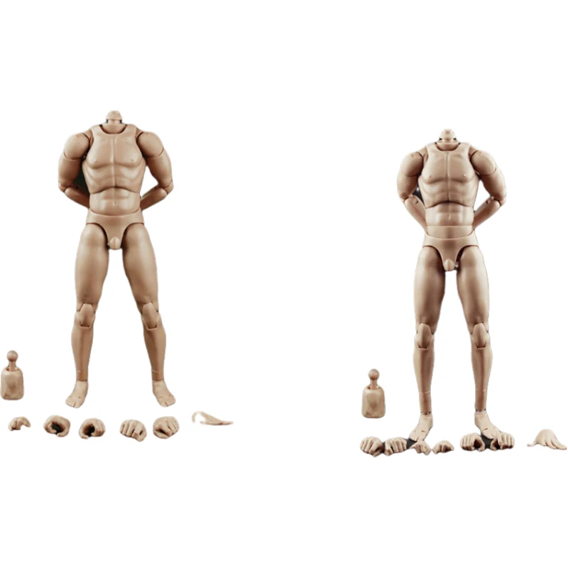 male doll body