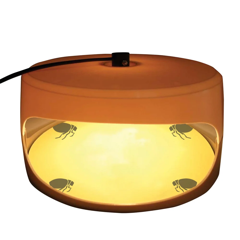 flea trap light