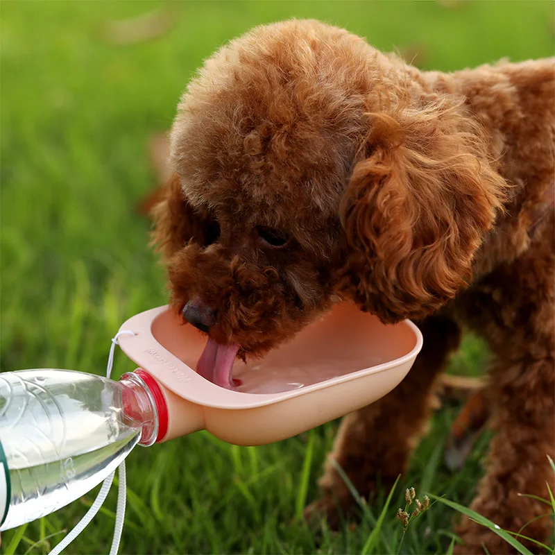 outdoor water dog bowl