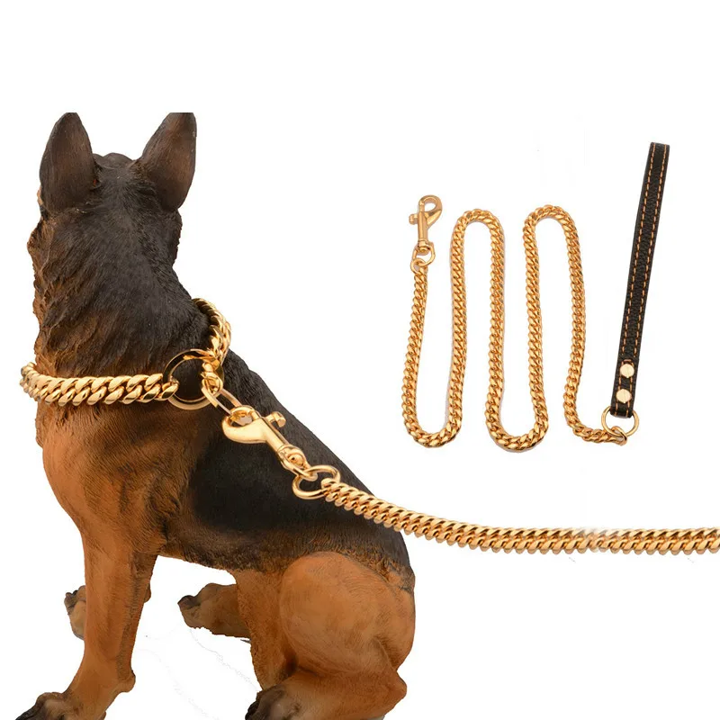 gold collar and leash