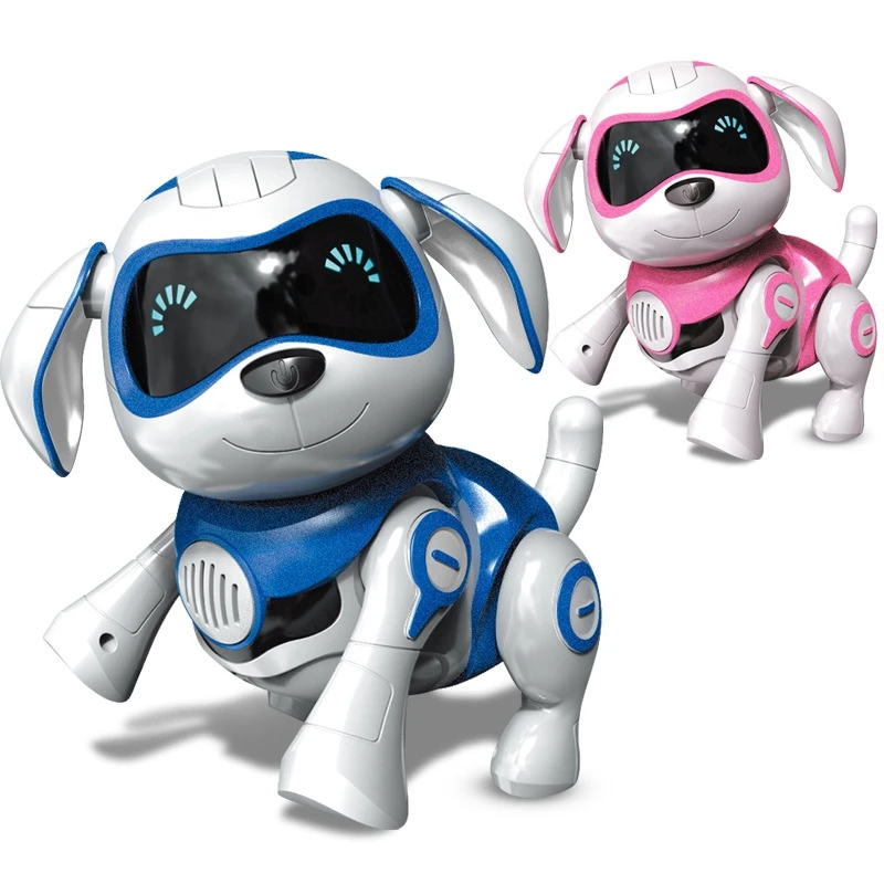 remote dog toy