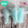Natural Plumes  4-6 Inches 10-15cm Turkey Marabou Feather Plume Fluffy Wedding Dress DIY Jewelry Decor Accessories Feathers preview-5
