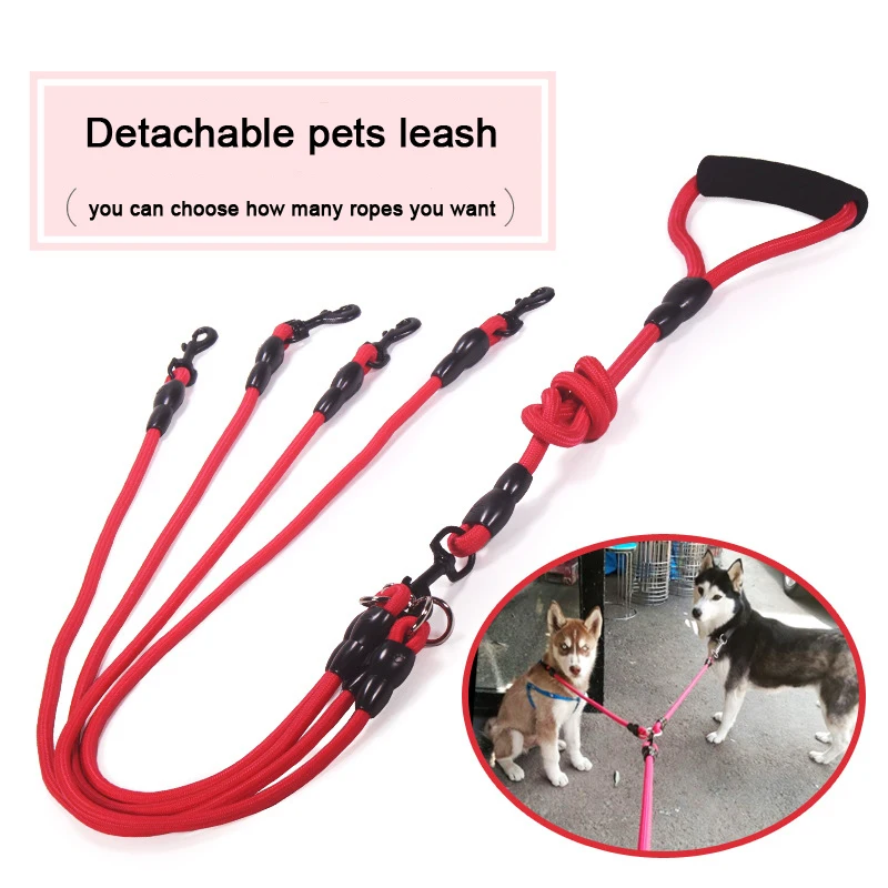 dog harness lead and collar