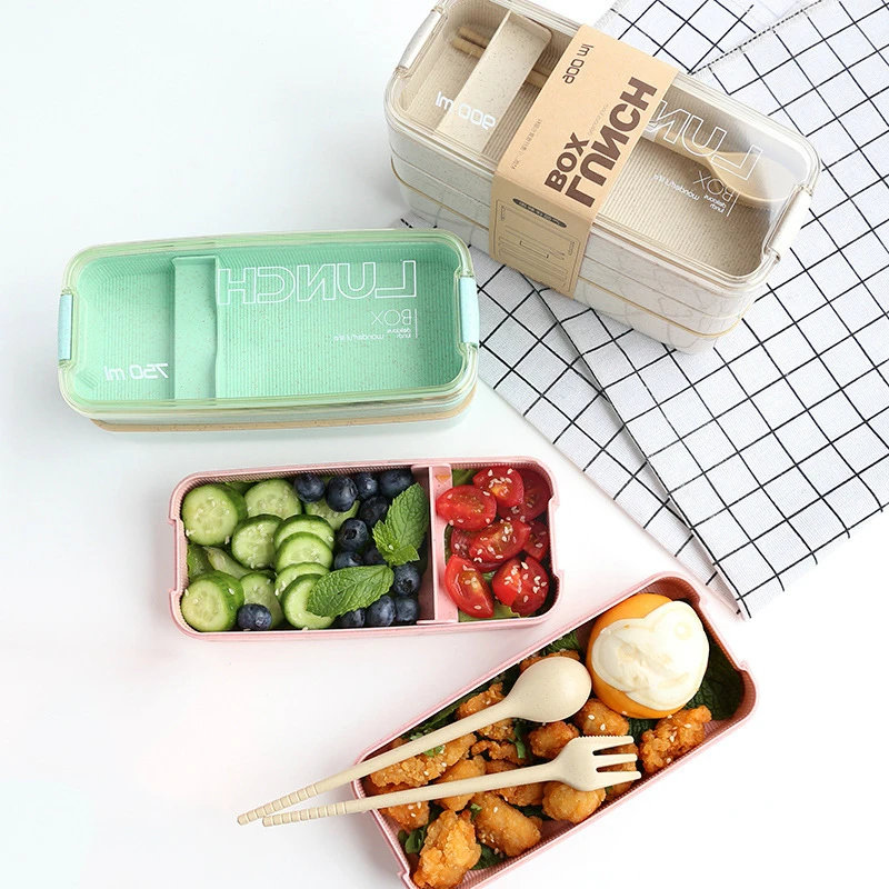 eco friendly lunch box for adults