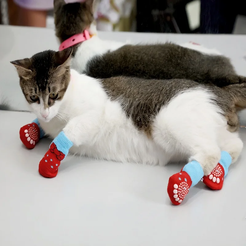 cat sock slippers