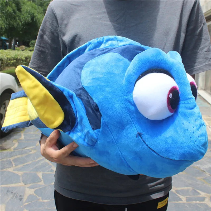 dory teddy