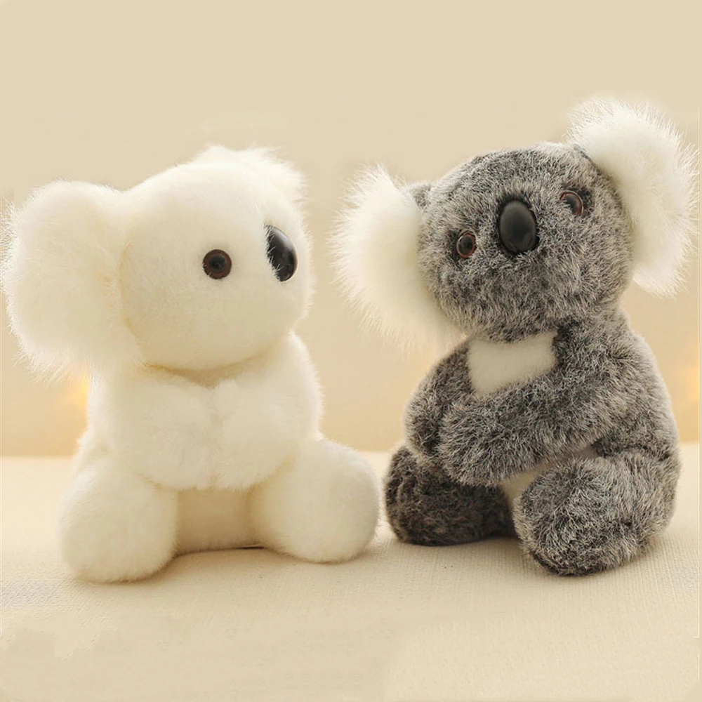 koala bear teddy