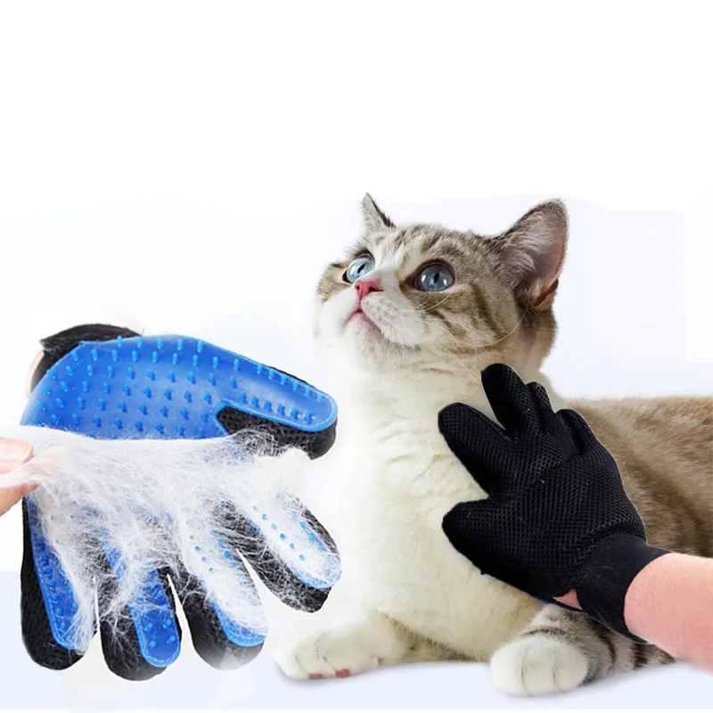 gloves cat