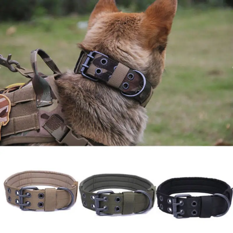 hunting dog collars