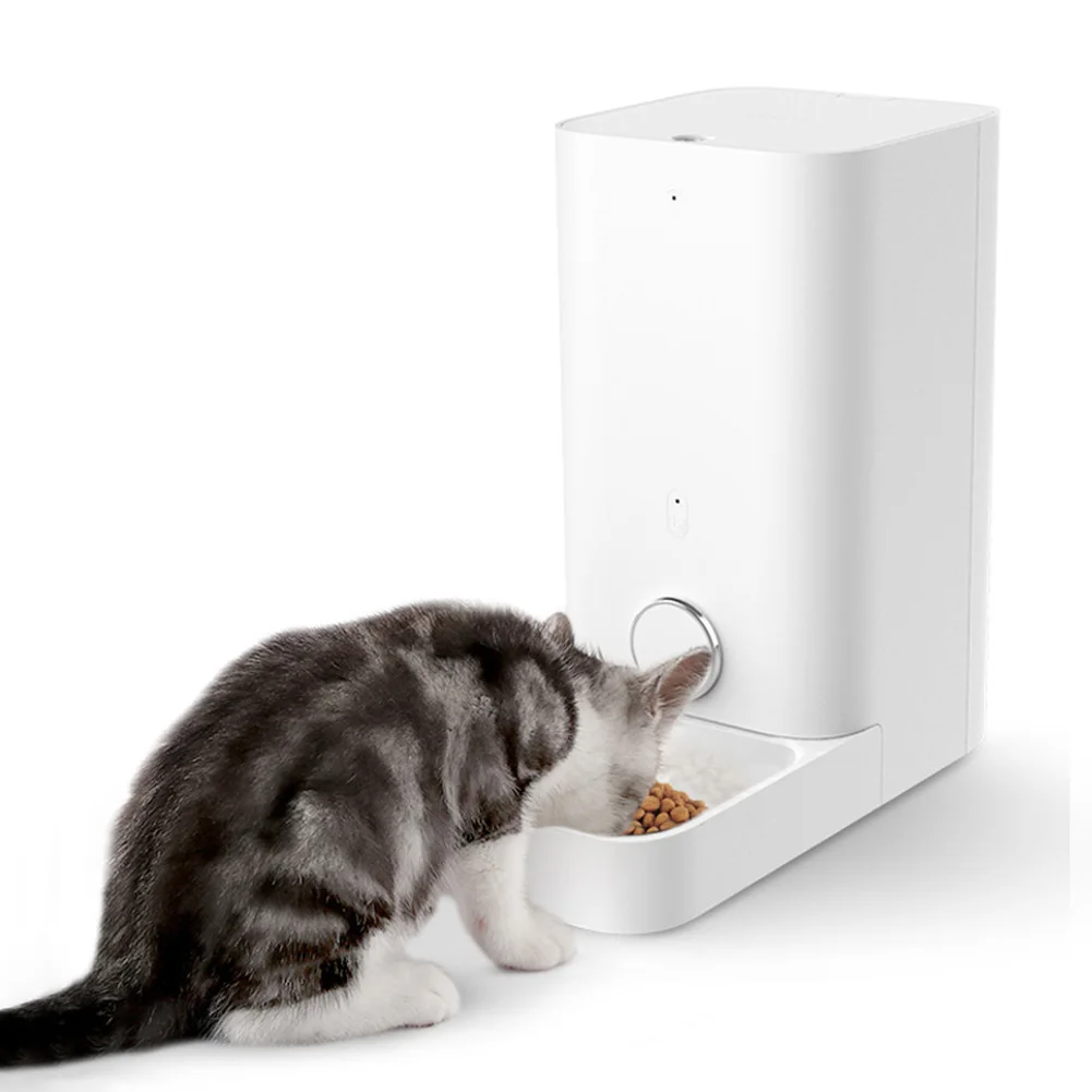 automatic cat feeder near me